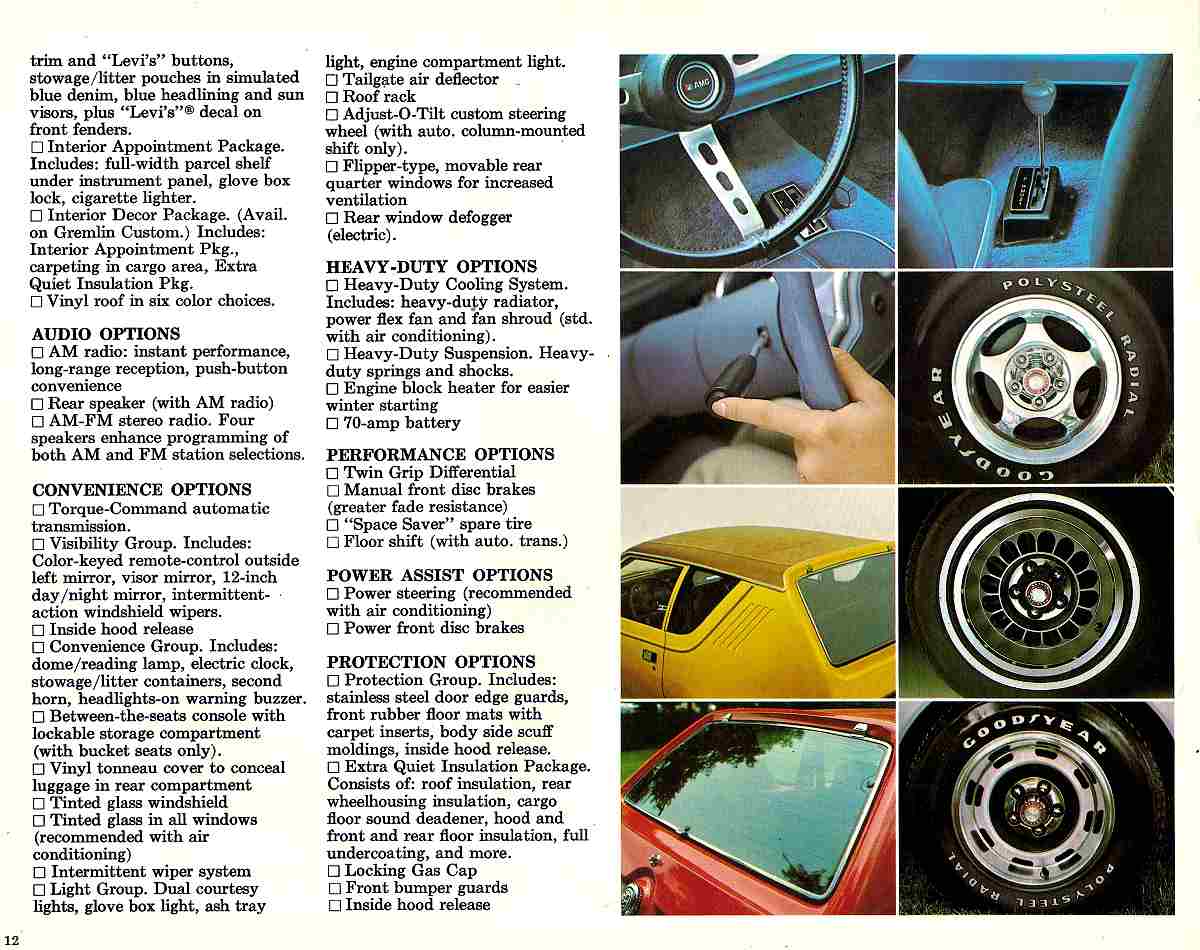 1976_AMC_Passenger_Cars_Prestige-12