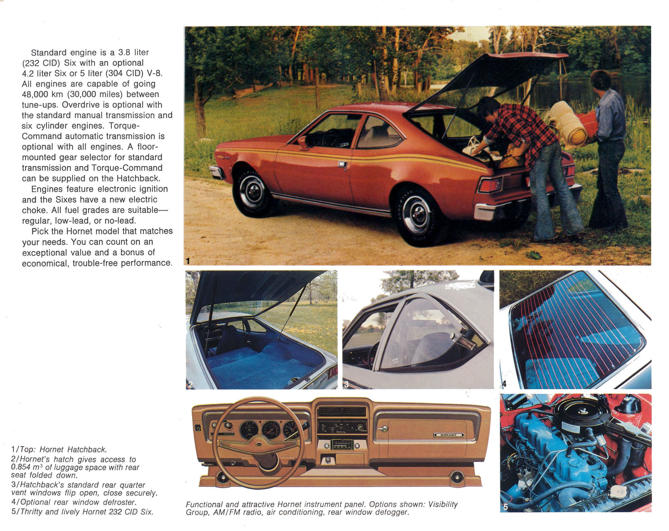 1976_AMC_Full_Line-14