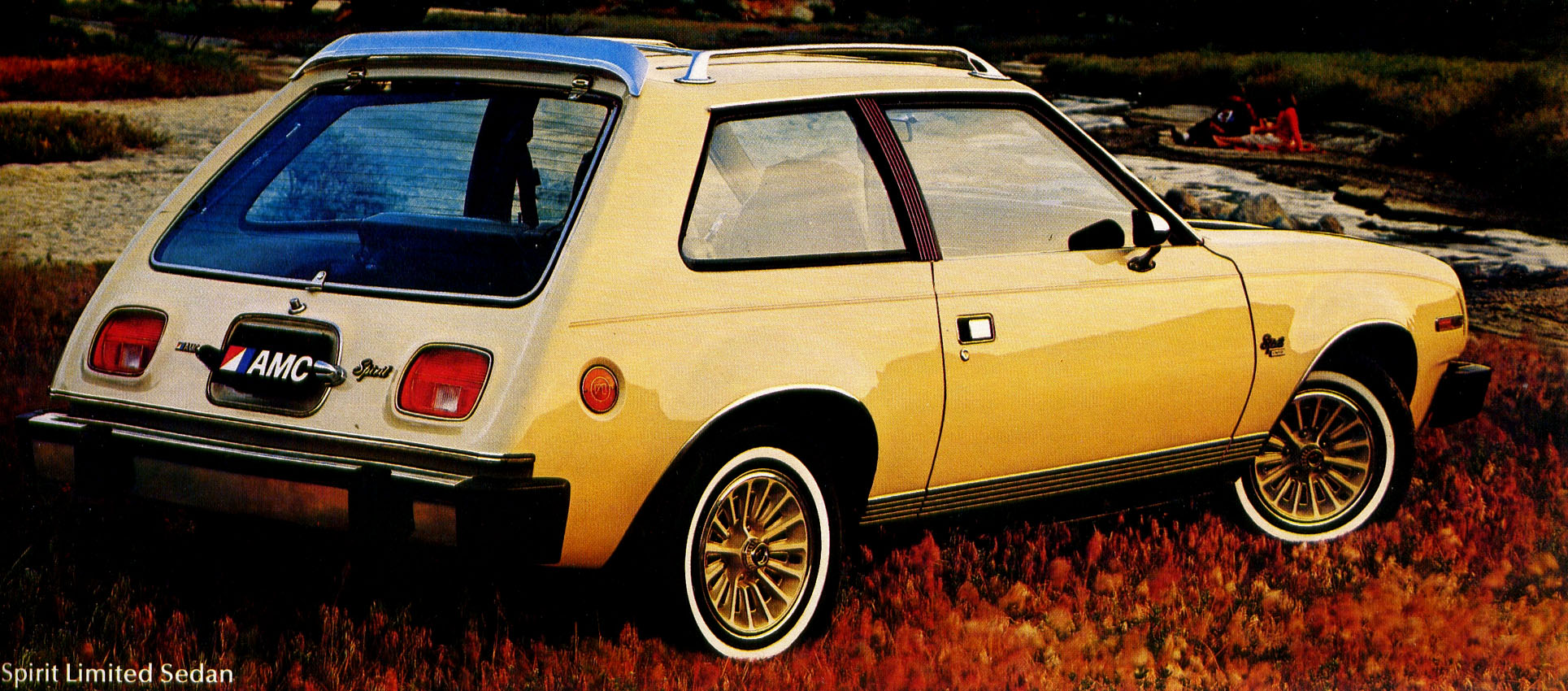 1979_AMC-13