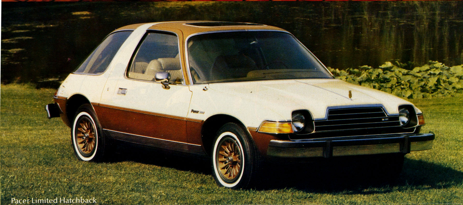 1979_AMC-15