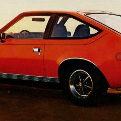 1979_AMC-11