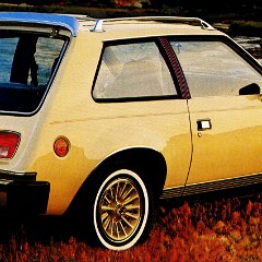 1979_AMC-13