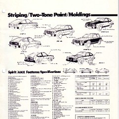 1980_AMC_Data_Book-A08