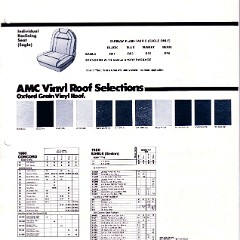 1980_AMC_Data_Book-A24