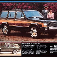 1985 AMC-Renault Full Line-12