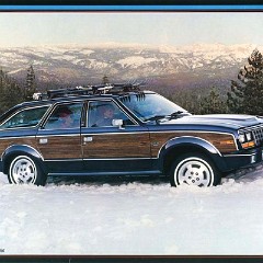 1985 AMC-Renault Full Line-14