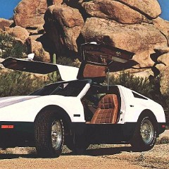 1974_Bricklin_Brochure-04