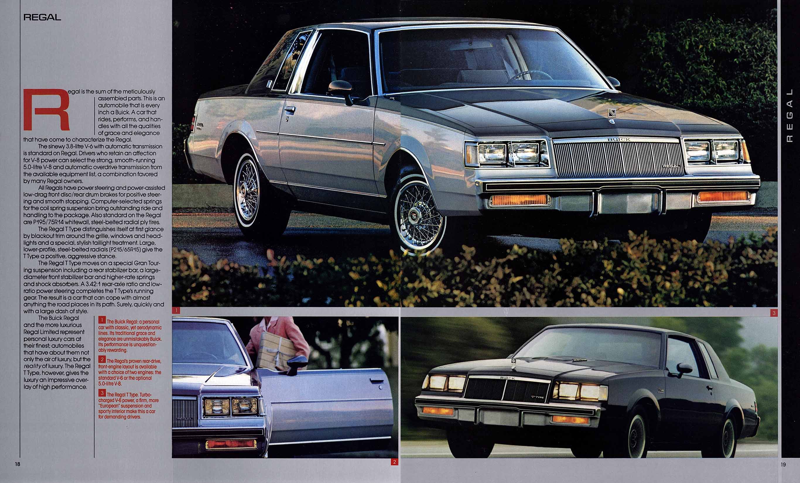 86buick18-19