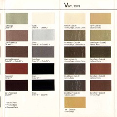 1987 Buick Exterior Colors-02 to 07