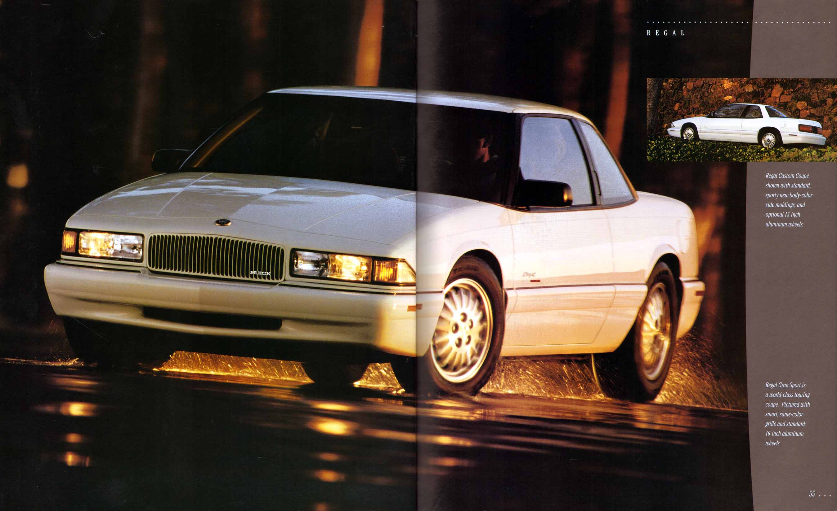 1995 Buick Full Line Prestige-54-55