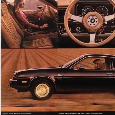 1979 Buick Full Line-20-21