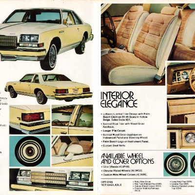 1979 Buick LeSabre Palm Beach-02-03