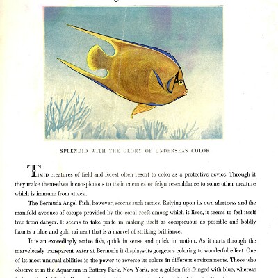 1927_Cadillac_and_LaSalle-17