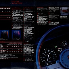 1985_Chevrolet_Camaro-16-17