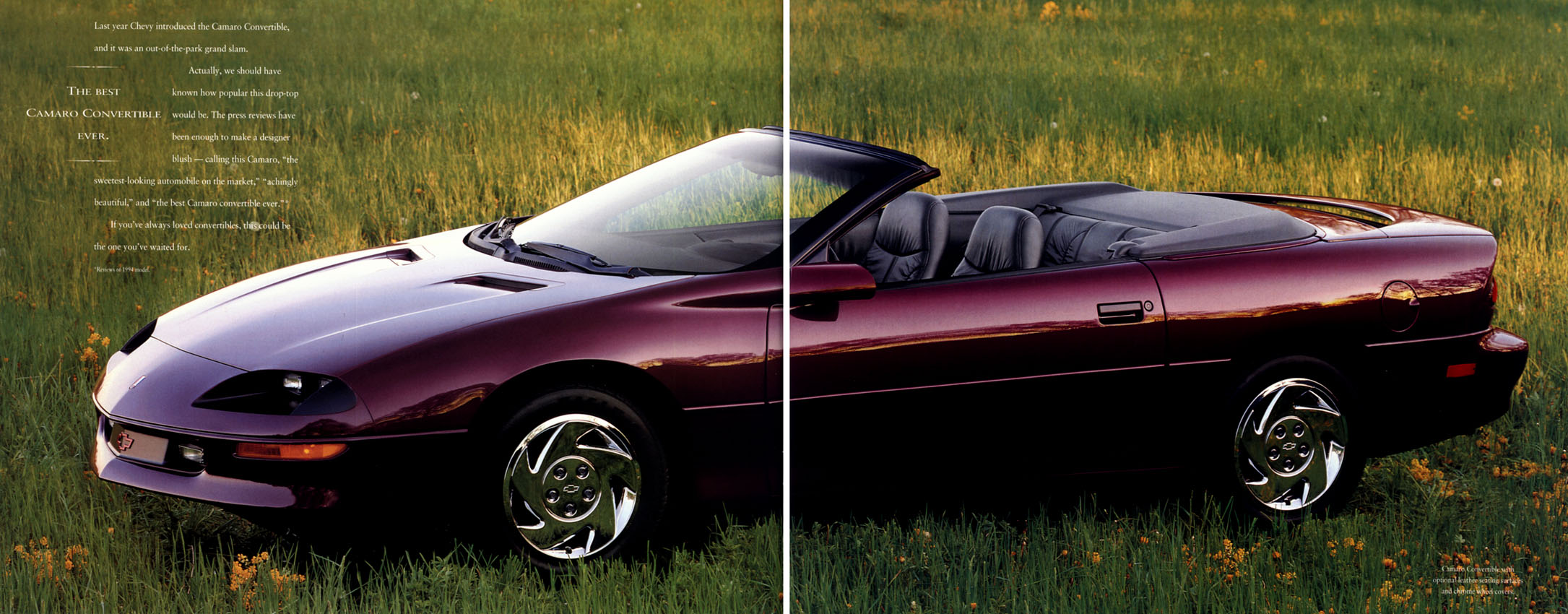 1995_Chevrolet_Camaro-12-13
