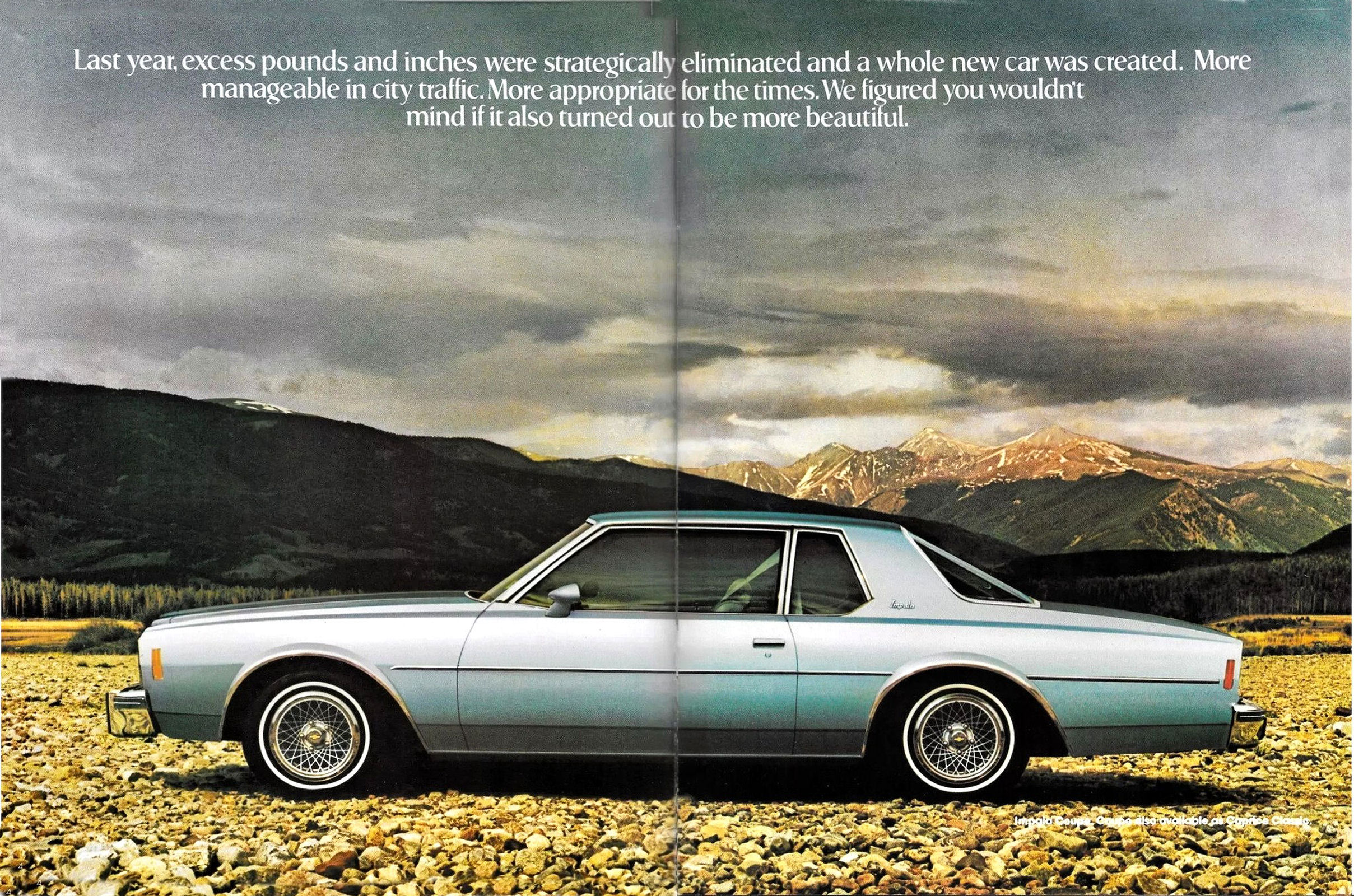 1978 Chevrolet Full Size (Rev)_Page_3