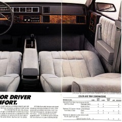 1982_Chevrolet_Celebrity-10-11