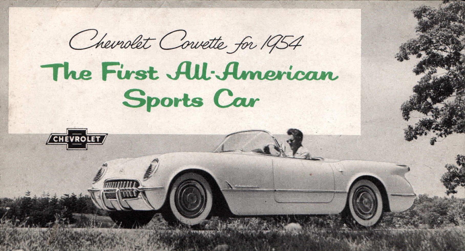 1954_Corvette_Foldout_Green-01