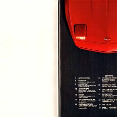 1985_Chevrolet_Corvette-02-03