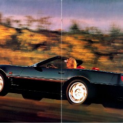 1995_Chevrolet_Corvette_Europe-10-11