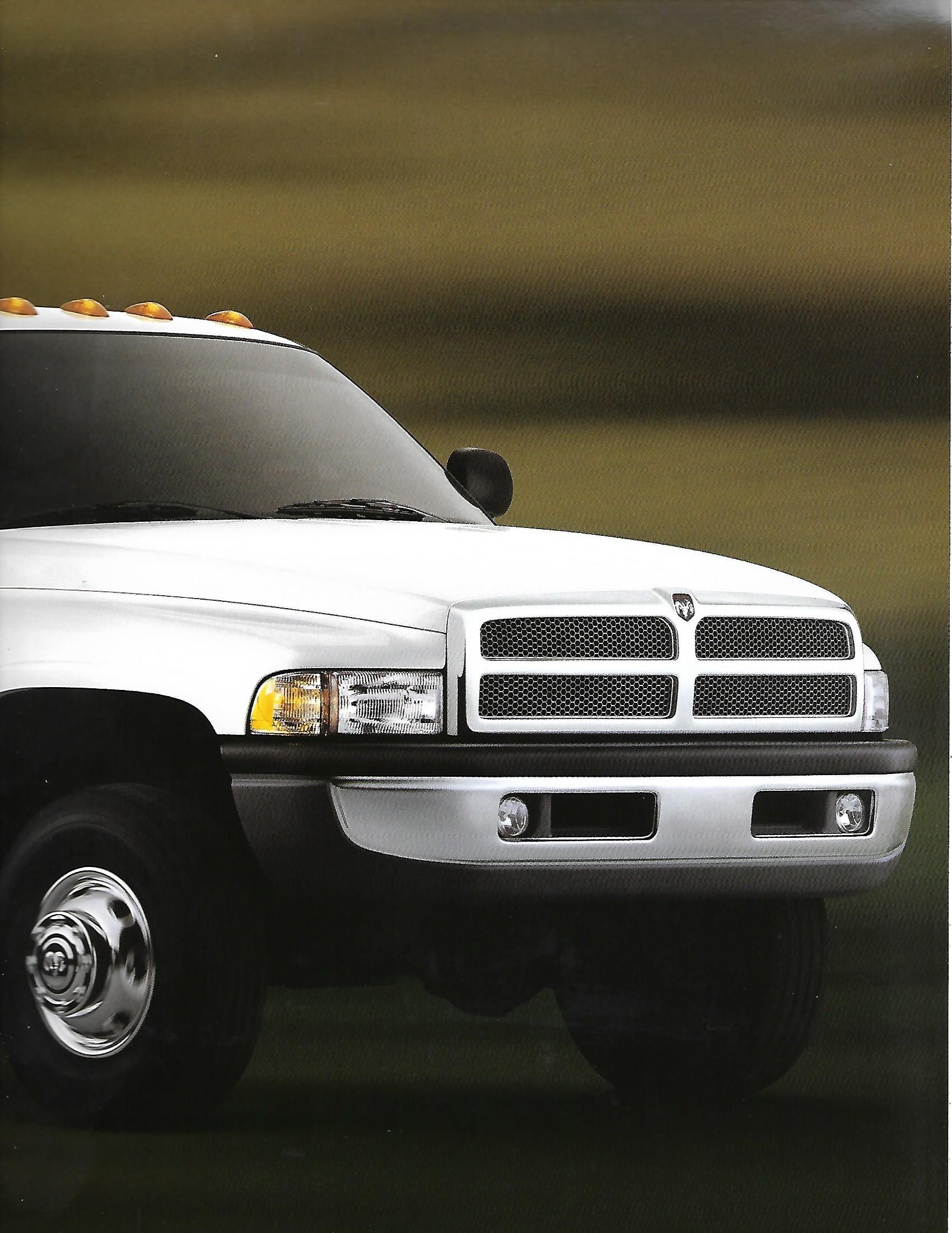 2001 Dodge Ram Pickup-29