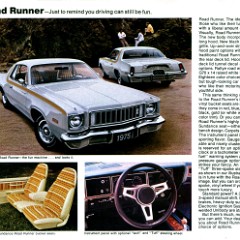 1975 Chrysler-Plymouth-14