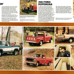 1981 Ford Pickup (Rev)-10-11