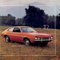 1972_Ford_Pinto-03