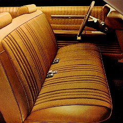 1973_Ford_Full_Size-14