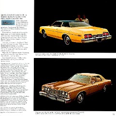 1973_Ford_Full_Size-15