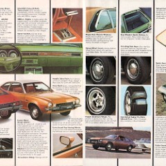 1973_Ford_Pinto-12-13