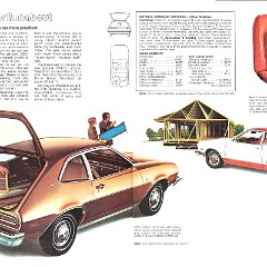 1974 Ford Pinto-04-05