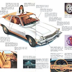 1974 Ford Pinto-10-11