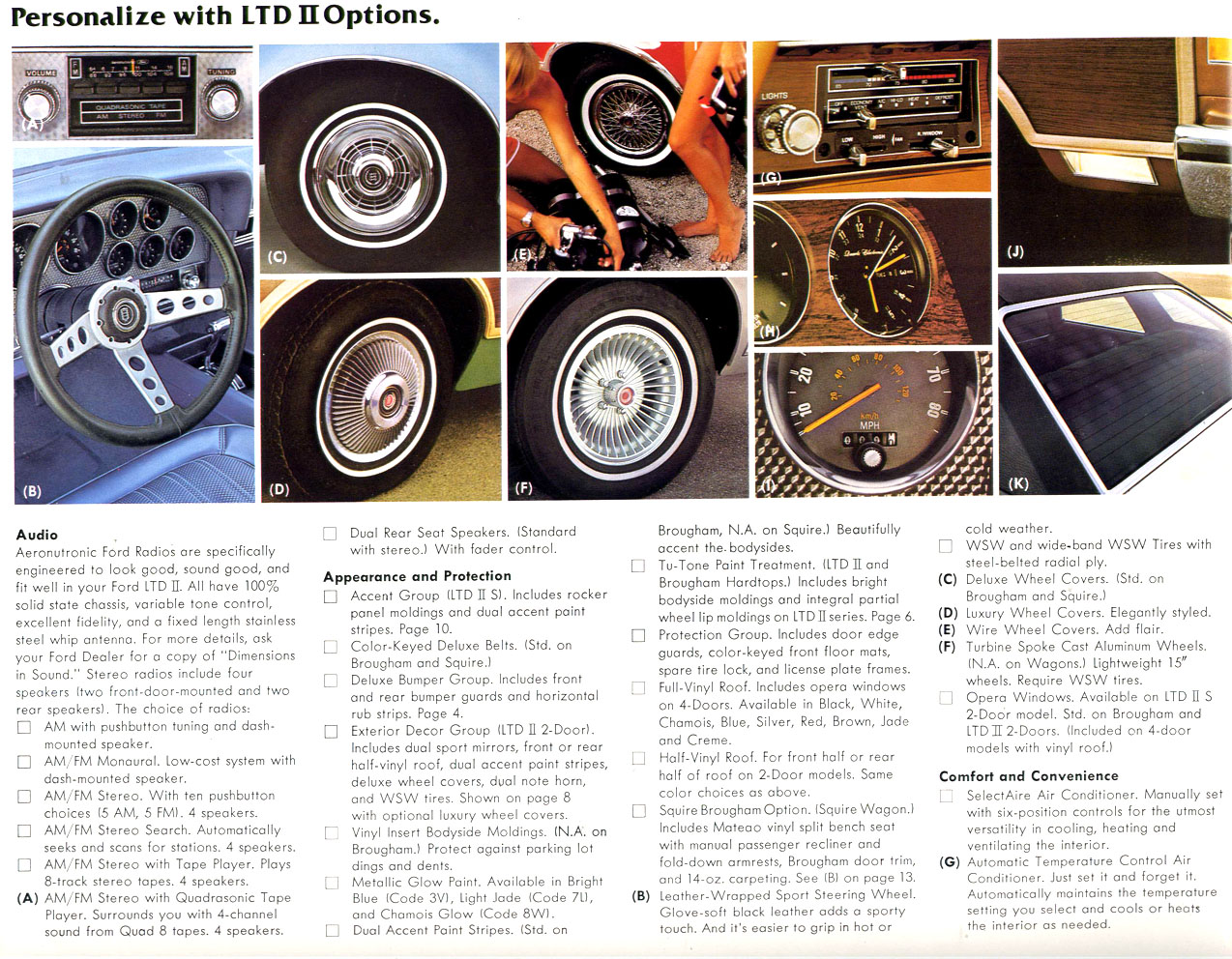 1977_Ford_LTD_II-14