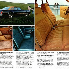1979_Ford_LTD_II-02
