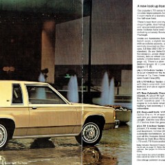 1980_Ford_LTD-04-05