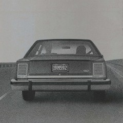 1984_Ford_LTD_Crown_Victoria-16