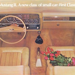 1974_Ford_Mustang_II-05-06-07-08