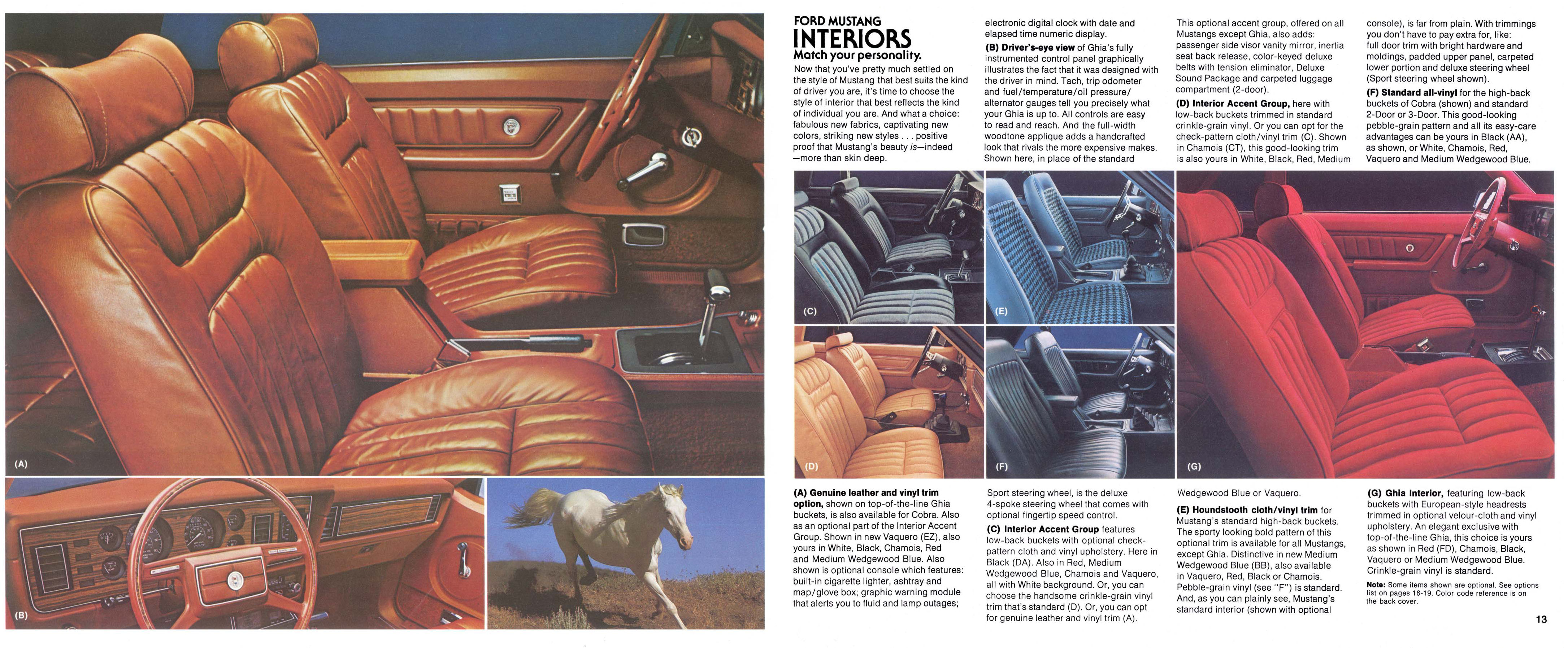 1979_Ford_Mustang-12-13