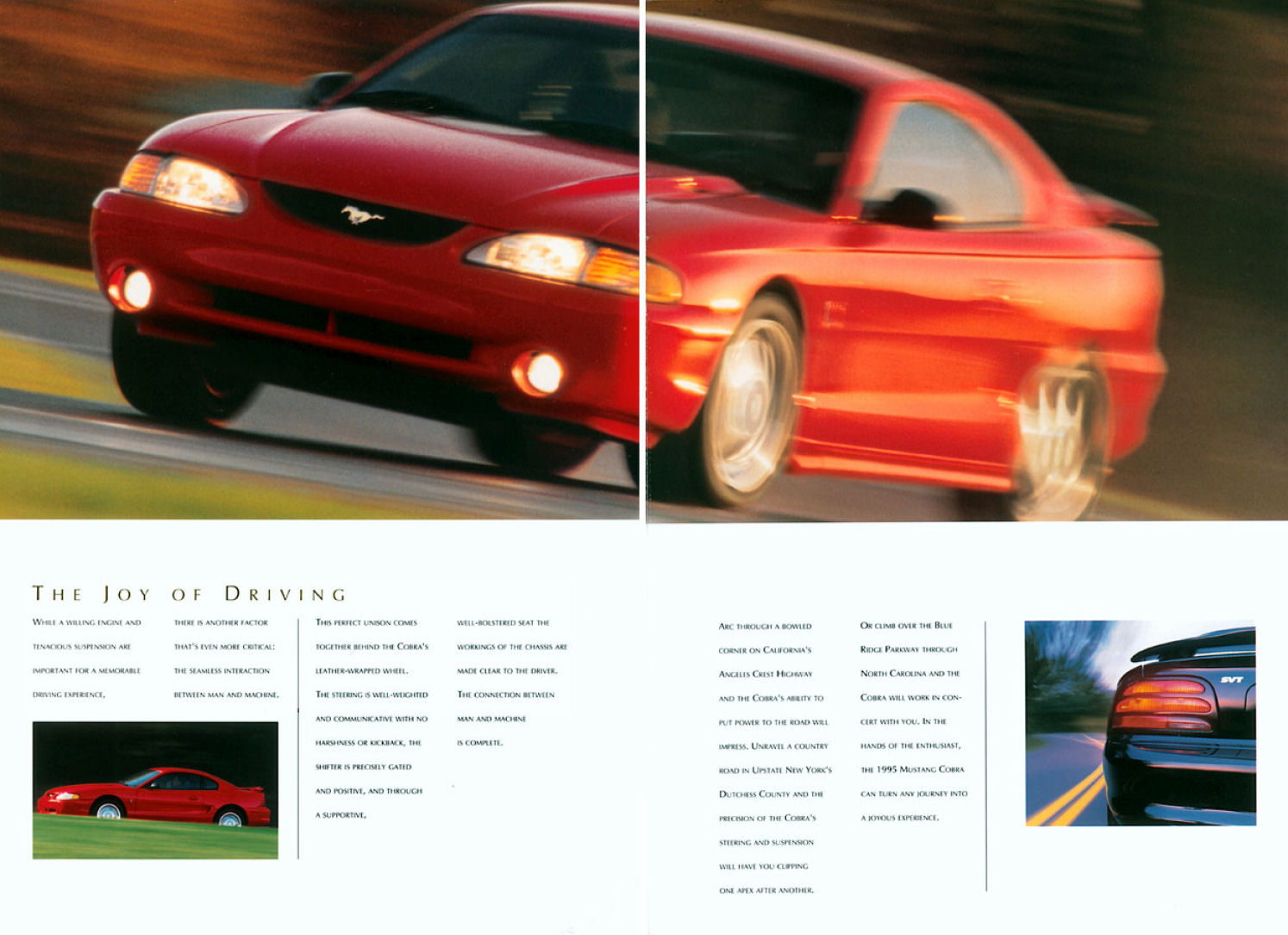 1995_Ford_Mustang_Cobra_SVT-14-15