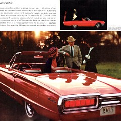 1965_Ford_Thunderbird-10-11