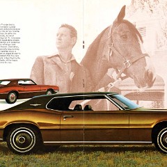 1971_Ford_Thunderbird-06-07