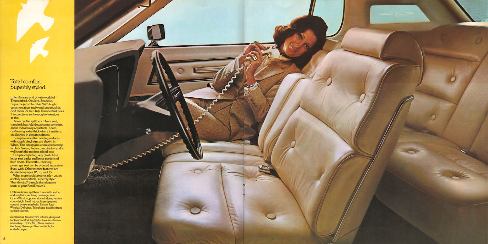 1973_Ford_Thunderbird-06-07