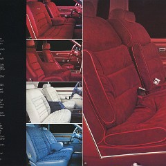 1980_Ford_Thunderbird-14-15