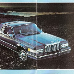 1981_Ford_Thunderbird-02-03