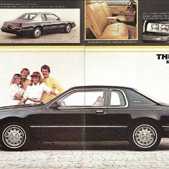 1983_Ford_Thunderbird_011-Ann-08-09