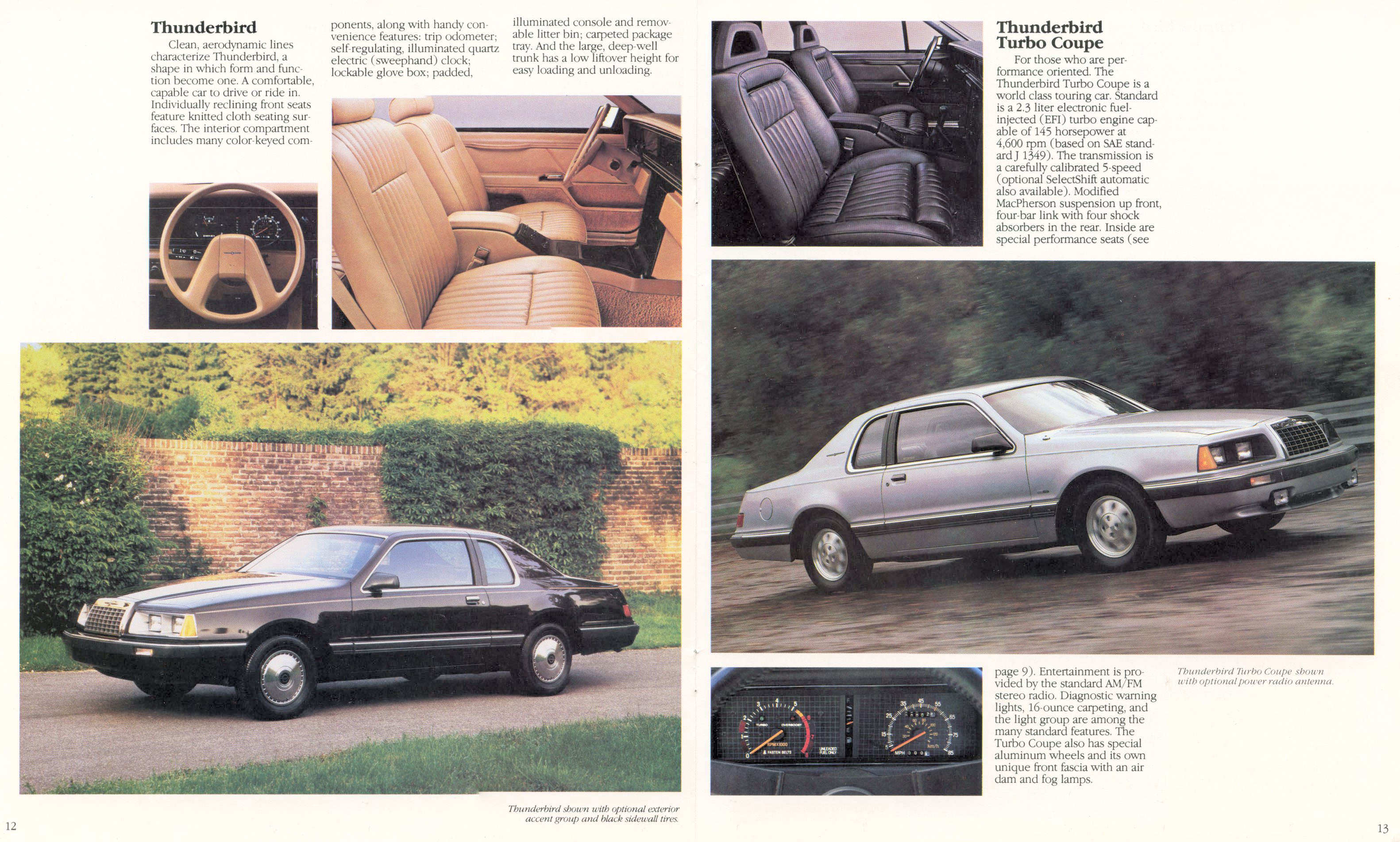 1984_Ford_Thunderbird_Full_Line-12-13