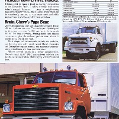 1979_Chevrolet_Bruin-02