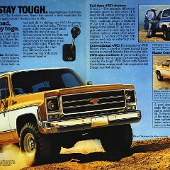 1979_Chevrolet_Blazer-02-03