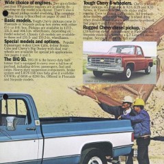 1979_Chevrolet_Pickups-03